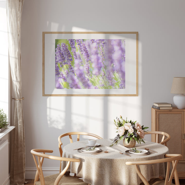 Lila Lavendel IV | Fine Art Print