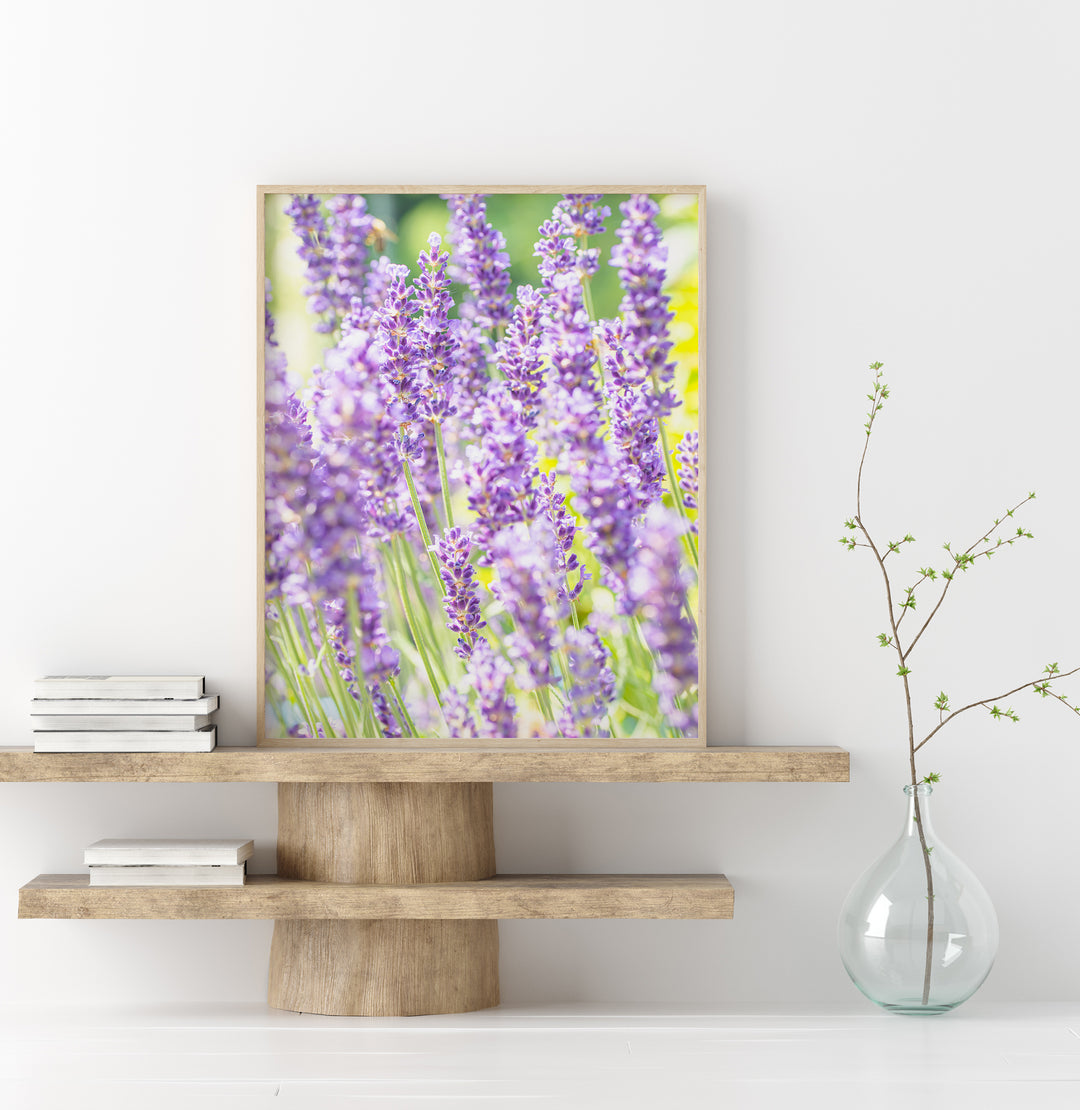 Lila Lavendel VI | Fine Art Print