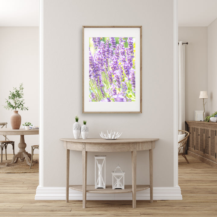 Lila Lavendel VI | Fine Art Poster Print