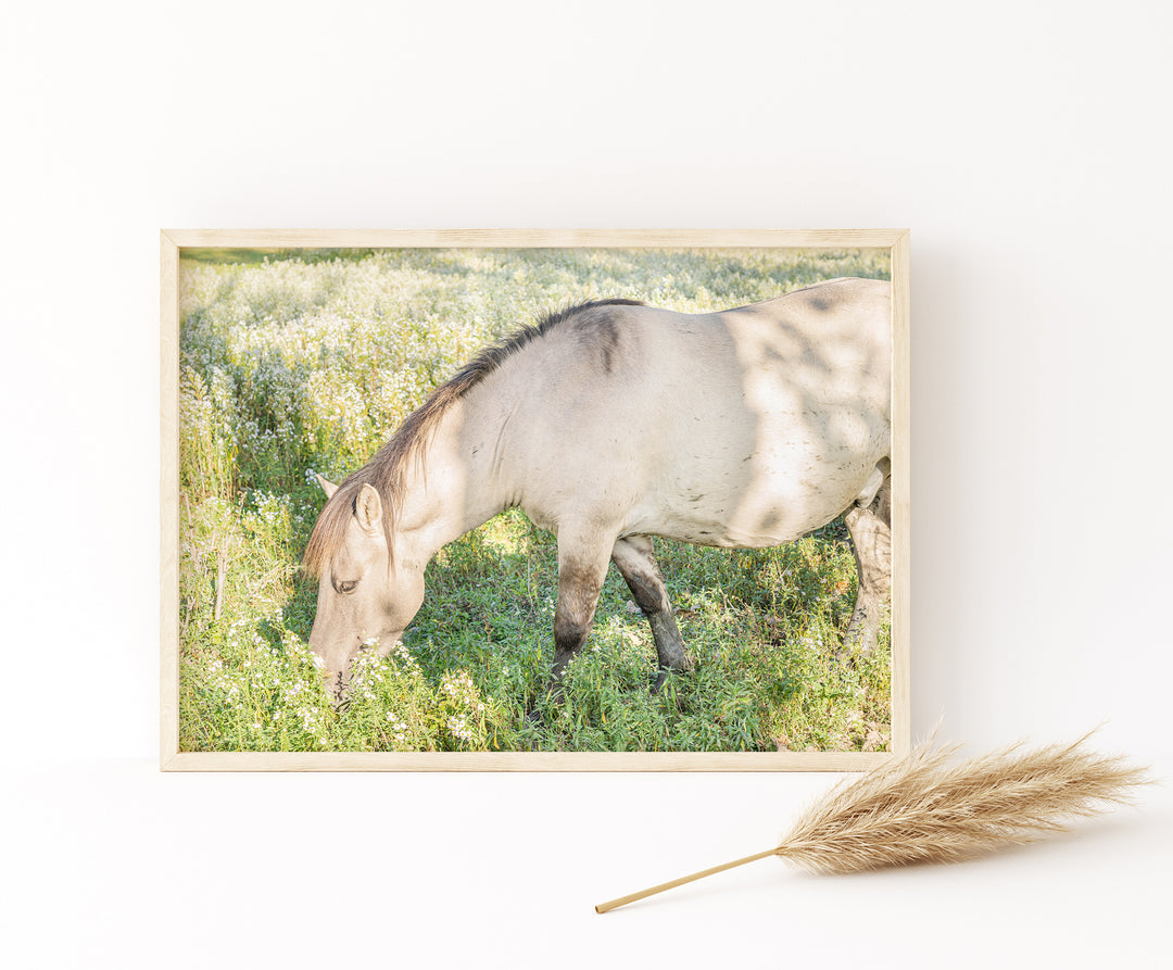 Wild Horses III | Fine Art Photography Print