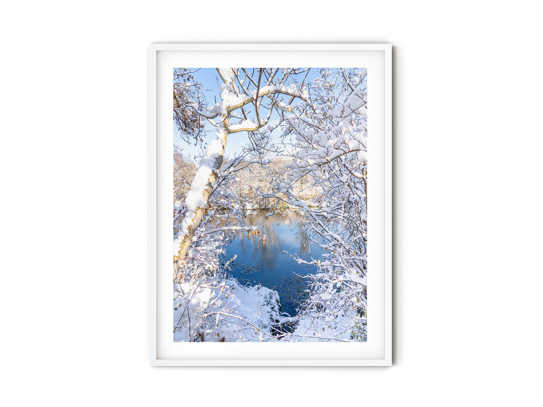 Winter by the Lake | Fine Art Photography Print