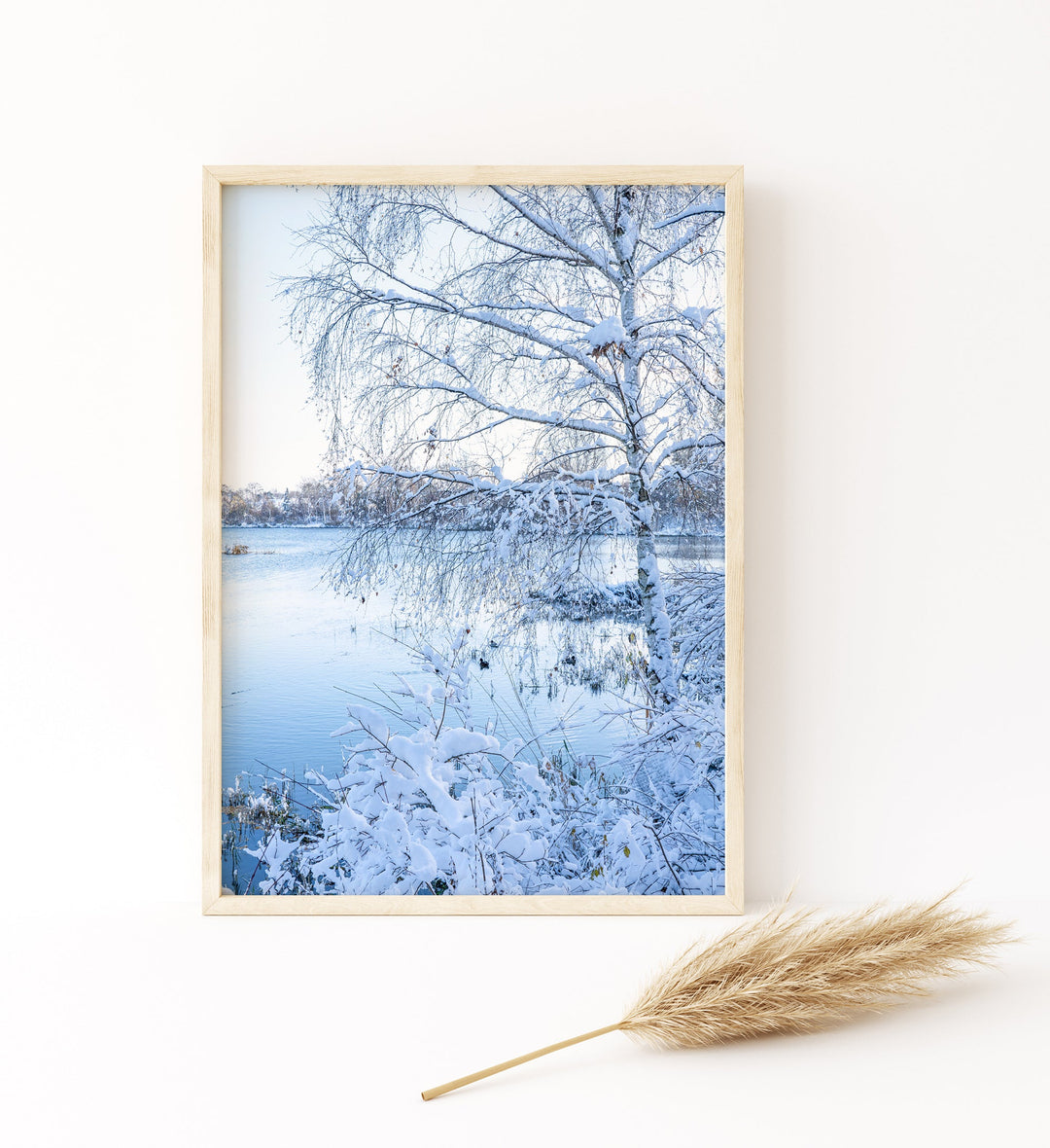 Winter Wonderland | Fine Art Photography Print
