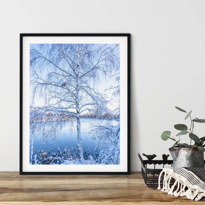 Frosty Tree | Fine Art Photography Print