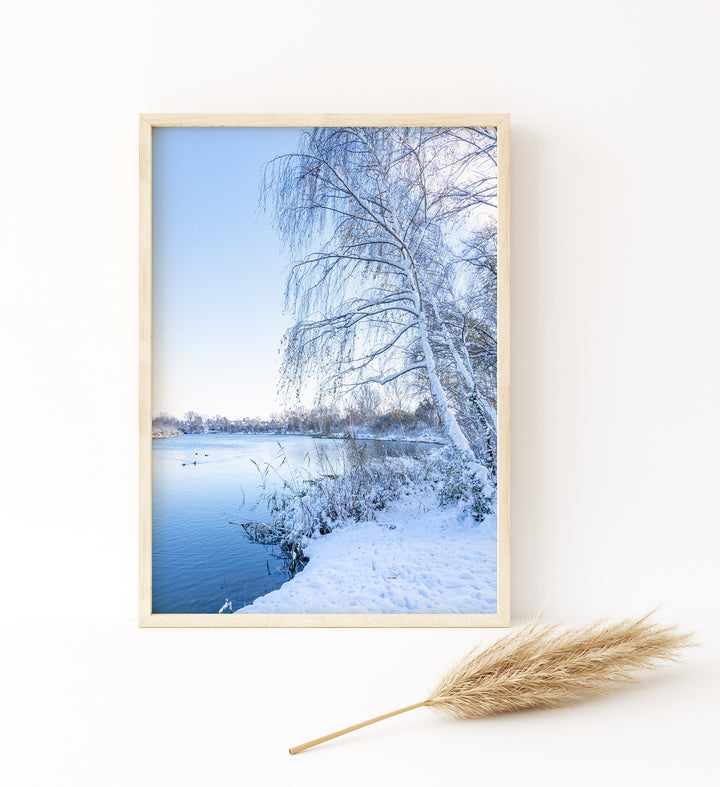 Winter Scenery | Fine Art Photography Print