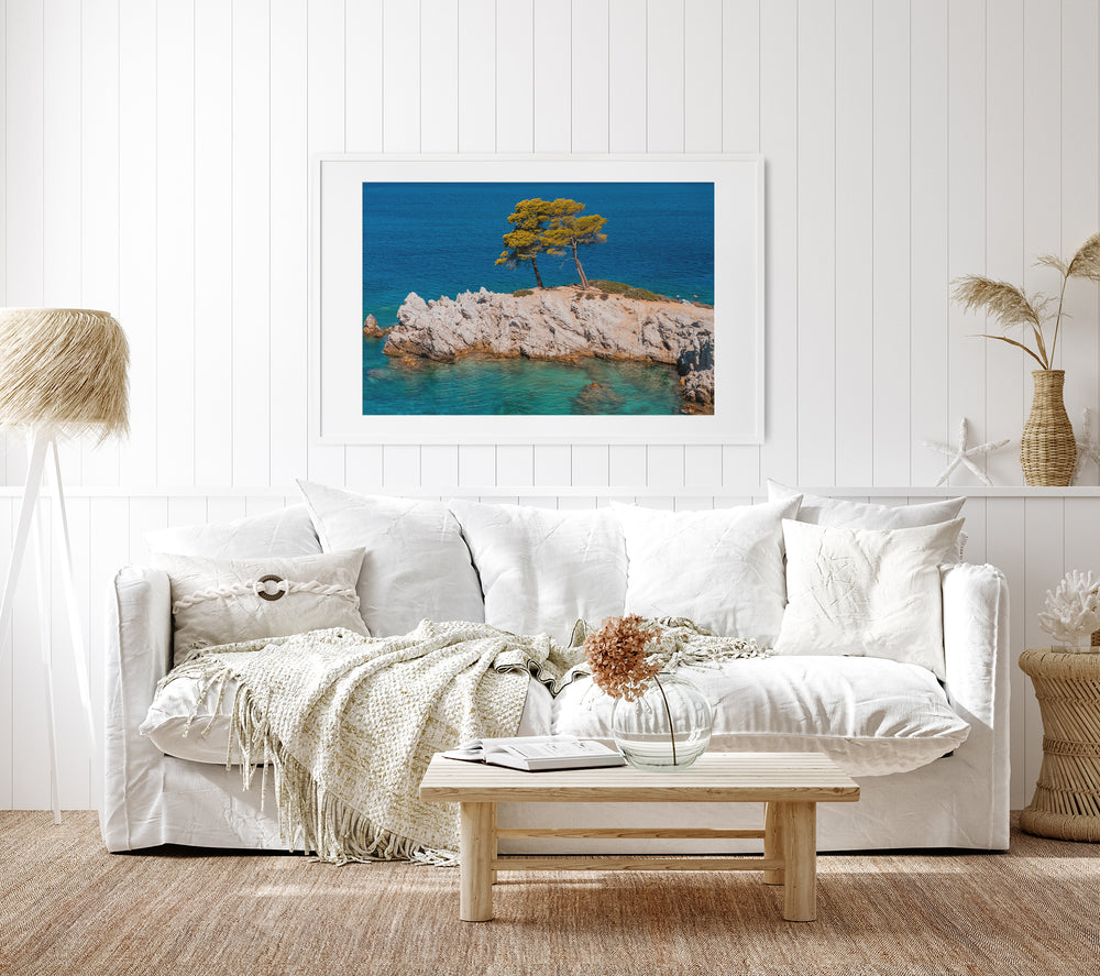 Pine Trees of Skopelos | Fine Art Photography Print