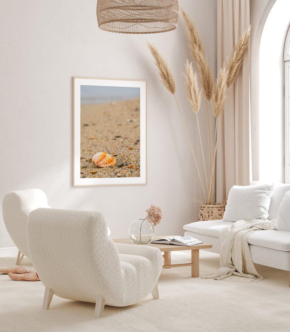Shell on the Shore of Halkidiki | Fine Art Photography Print