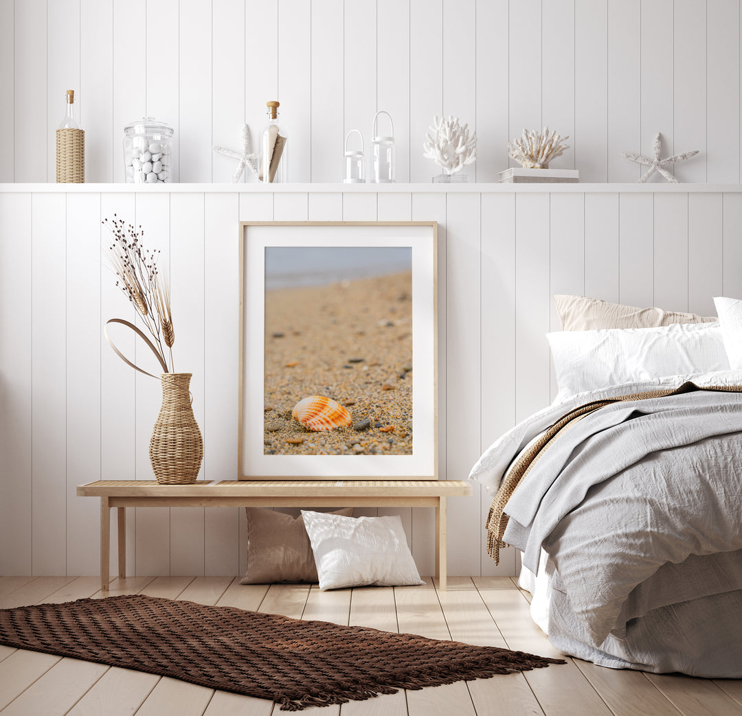 Shell on the Shore of Halkidiki | Fine Art Photography Print