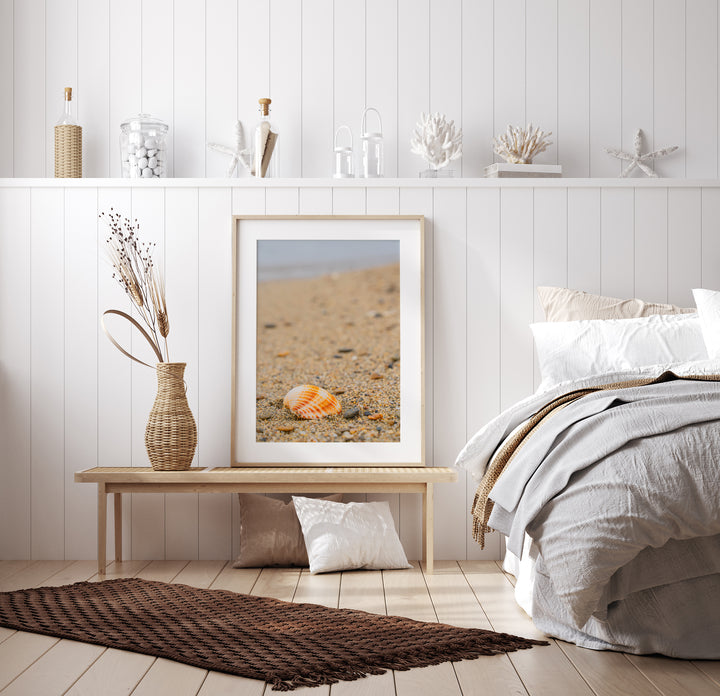 Shell on the Shore of Halkidiki | Fine Art Photography Print