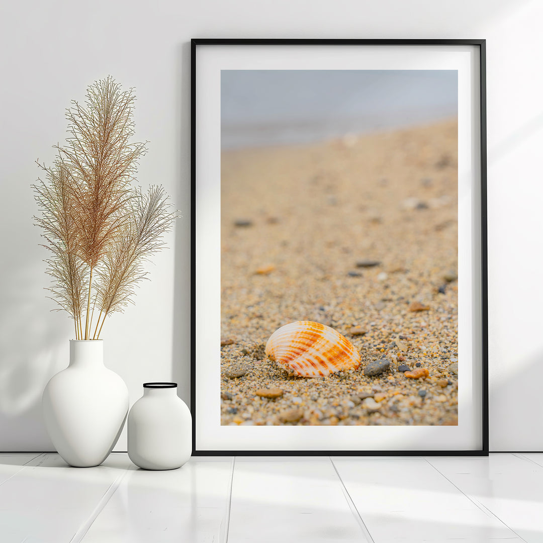 Shell on the Shore of Halkidiki | Fine Art Photography Print