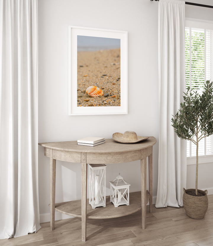 Shell on the Shore of Halkidiki | Fine Art Photography Print