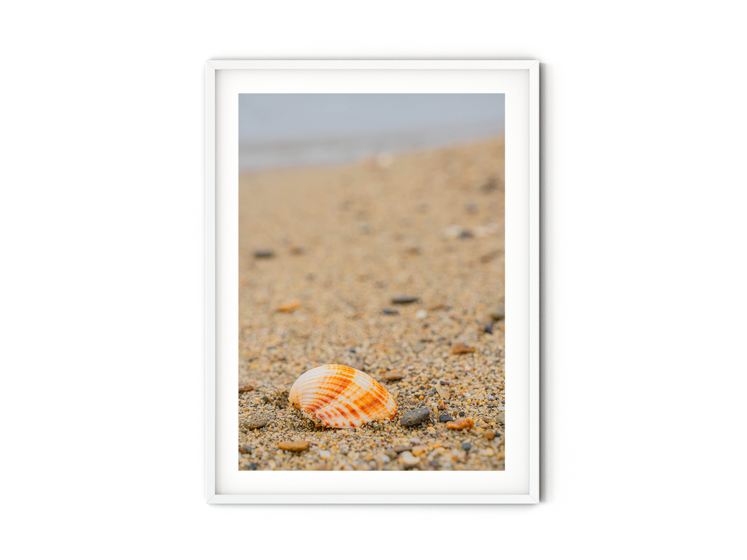 Shell on the Shore of Halkidiki | Fine Art Photography Print