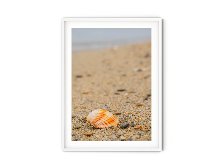 Shell on the Shore of Halkidiki | Fine Art Photography Print