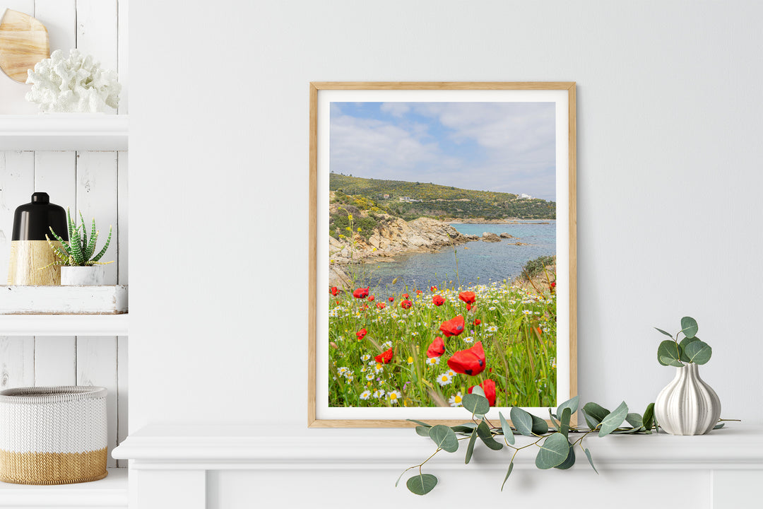 Spring Bloom in Sarti Halkidiki | Fine Art Photography Print