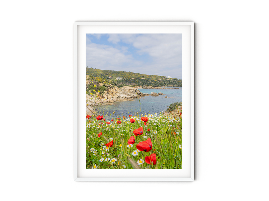 Spring Bloom in Sarti Halkidiki | Fine Art Photography Print