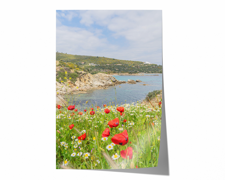 Spring Bloom in Sarti Halkidiki | Fine Art Photography Print