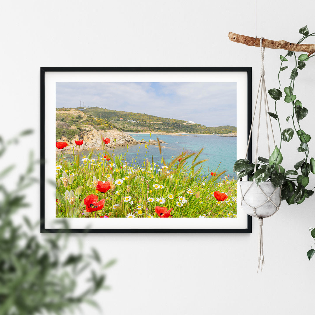 Wild Spring in Sarti Halkidiki | Fine Art Photography Print