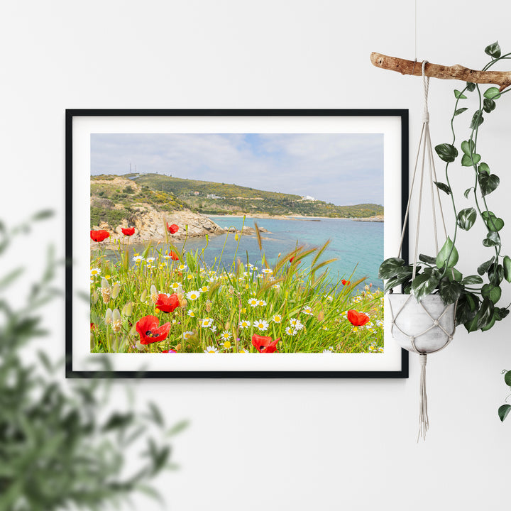 Wild Spring in Sarti Halkidiki | Fine Art Photography Print