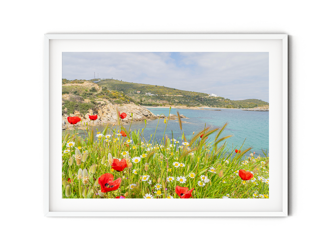 Wild Spring in Sarti Halkidiki | Fine Art Photography Print