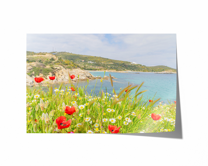 Wild Spring in Sarti Halkidiki | Fine Art Photography Print