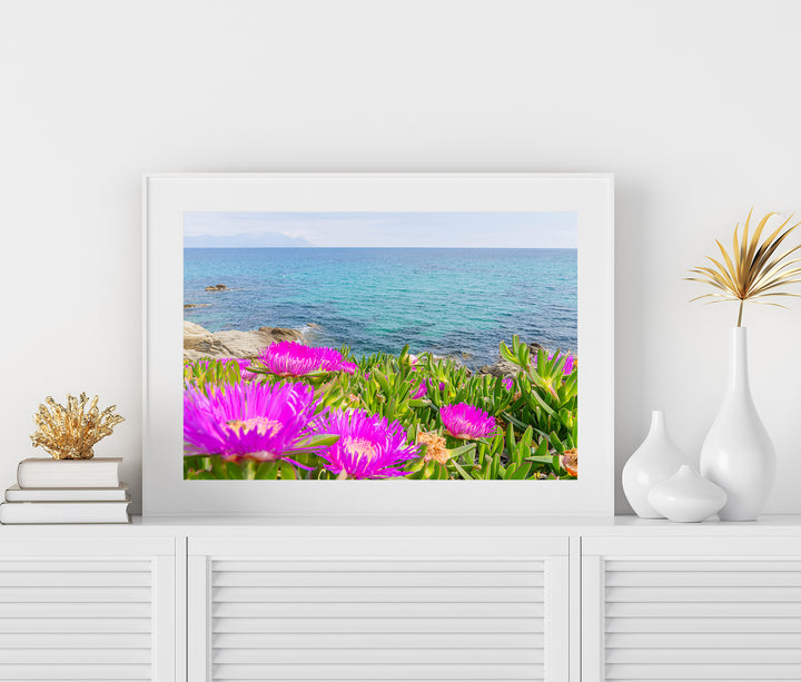Blooming Coast of Sarti Halkidiki | Fine Art Photography Print