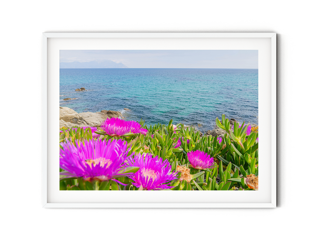 Blooming Coast of Sarti Halkidiki | Fine Art Photography Print