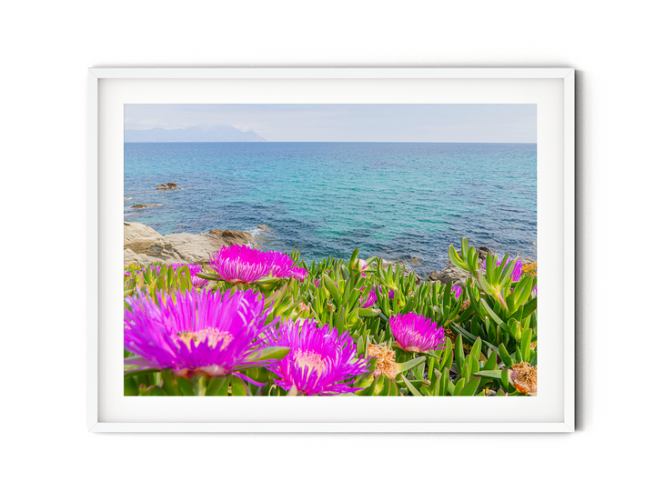 Blooming Coast of Sarti Halkidiki | Fine Art Photography Print