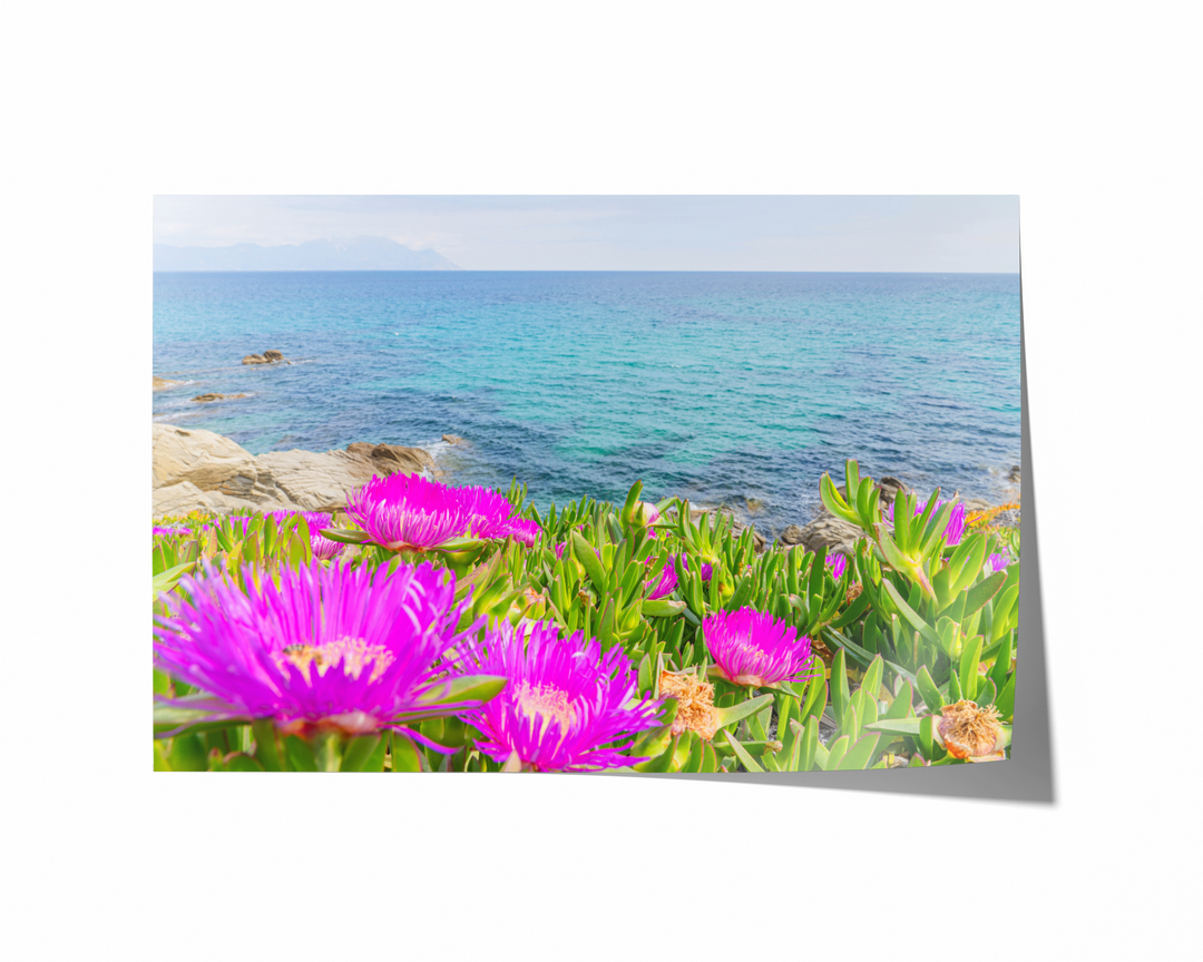 Blooming Coast of Sarti Halkidiki | Fine Art Photography Print