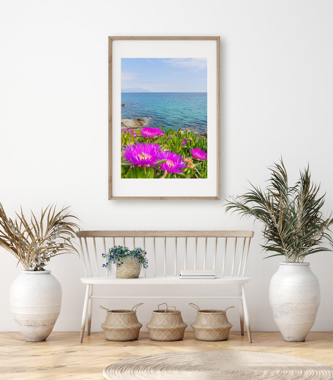 Coastal Blooms in Sarti Halkidiki | Fine Art Photography Print