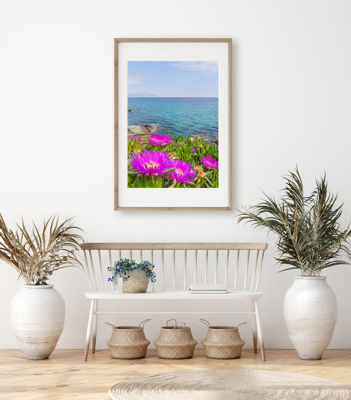 Coastal Blooms in Sarti Halkidiki | Fine Art Photography Print