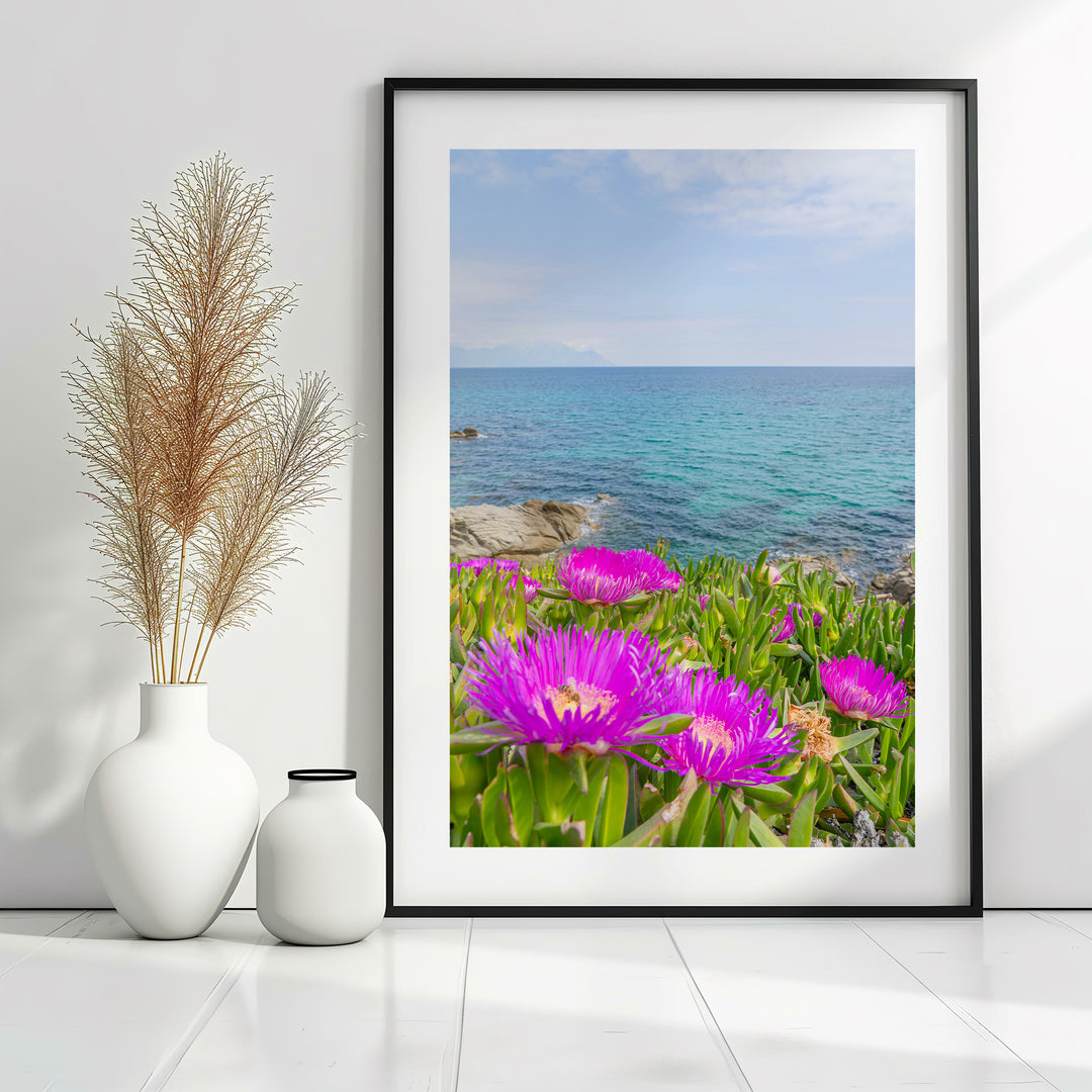Coastal Blooms in Sarti Halkidiki | Fine Art Photography Print