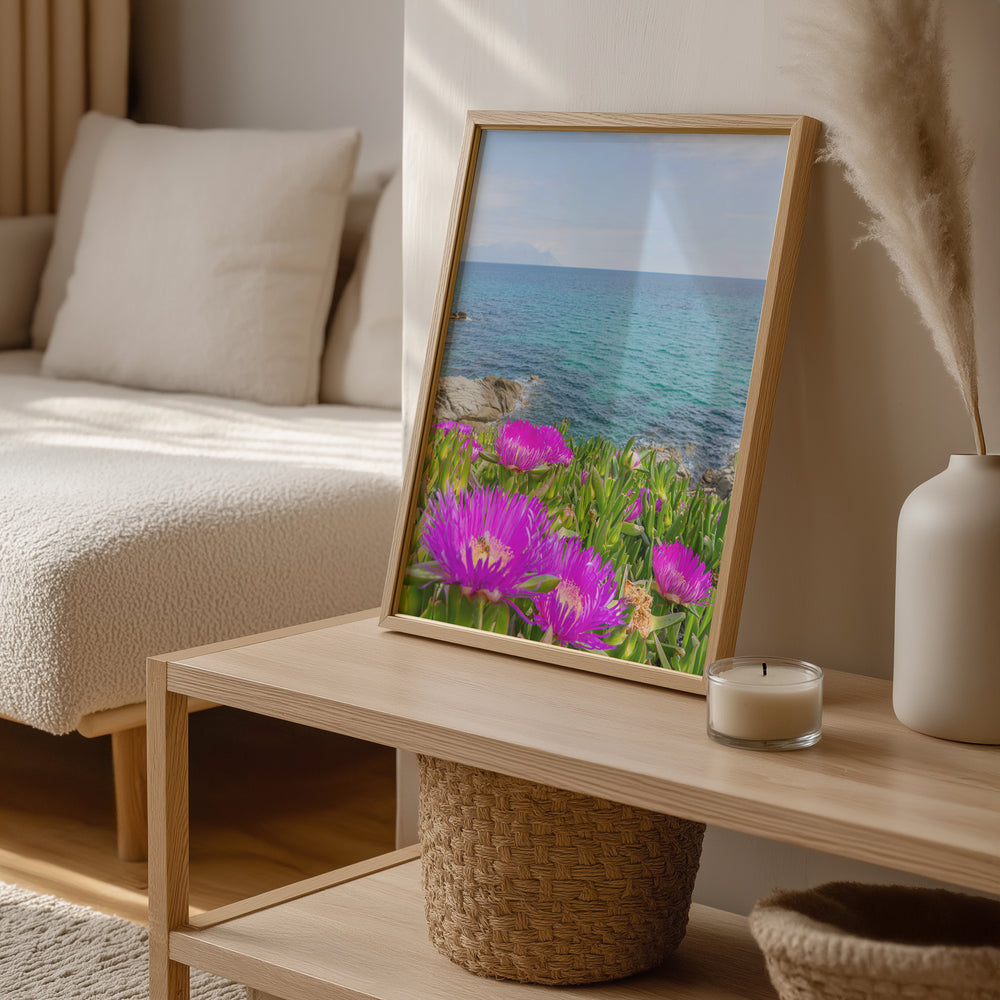 Coastal Blooms in Sarti Halkidiki | Fine Art Photography Print