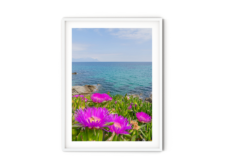 Coastal Blooms in Sarti Halkidiki | Fine Art Photography Print