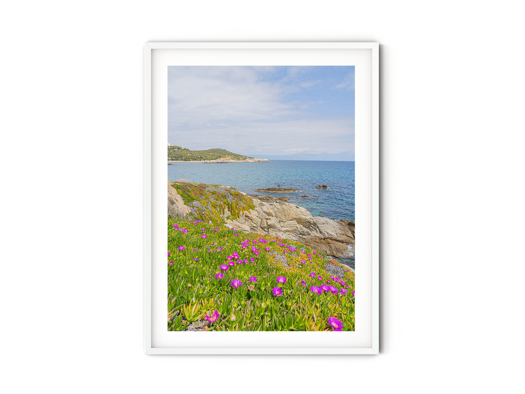 Coastal Spring in Sarti Halkidiki | Fine Art Photography Print