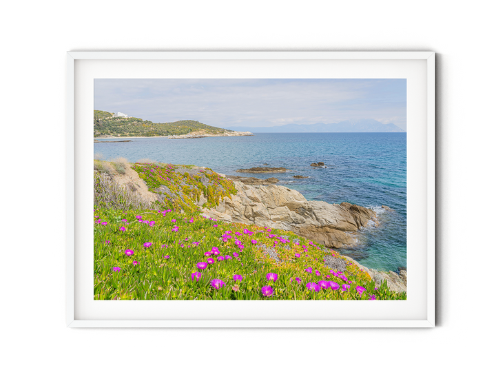 Blooming Shores of Sarti Halkidiki | Fine Art Photography Print