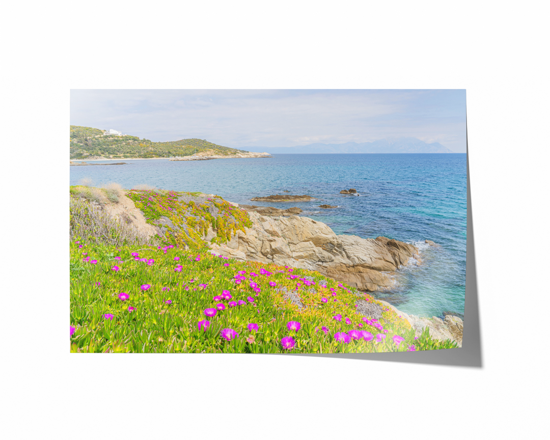 Blooming Shores of Sarti Halkidiki | Fine Art Photography Print