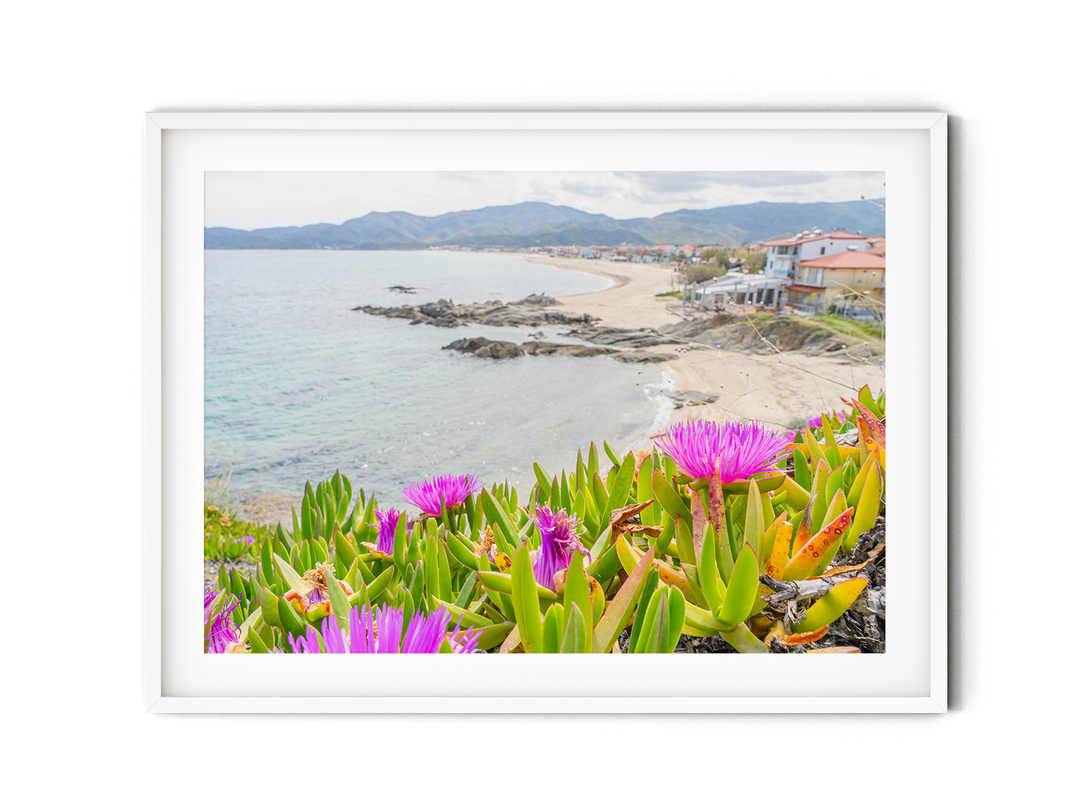 Flowers Above Sarti Halkidiki | Fine Art Photography Print