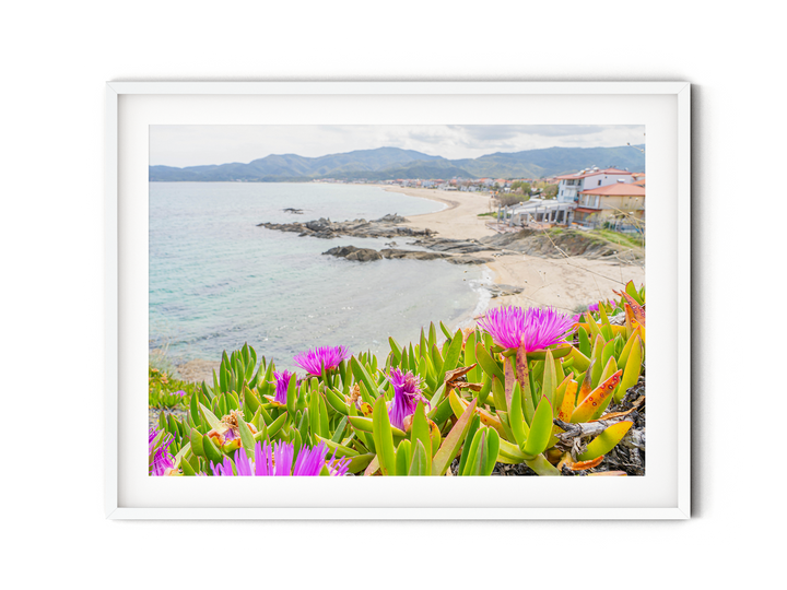 Flowers Above Sarti Halkidiki | Fine Art Photography Print