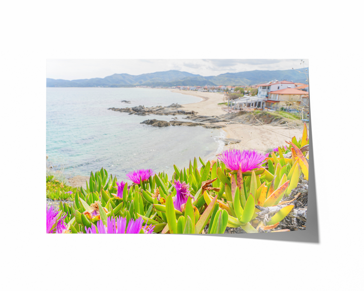 Flowers Above Sarti Halkidiki | Fine Art Photography Print
