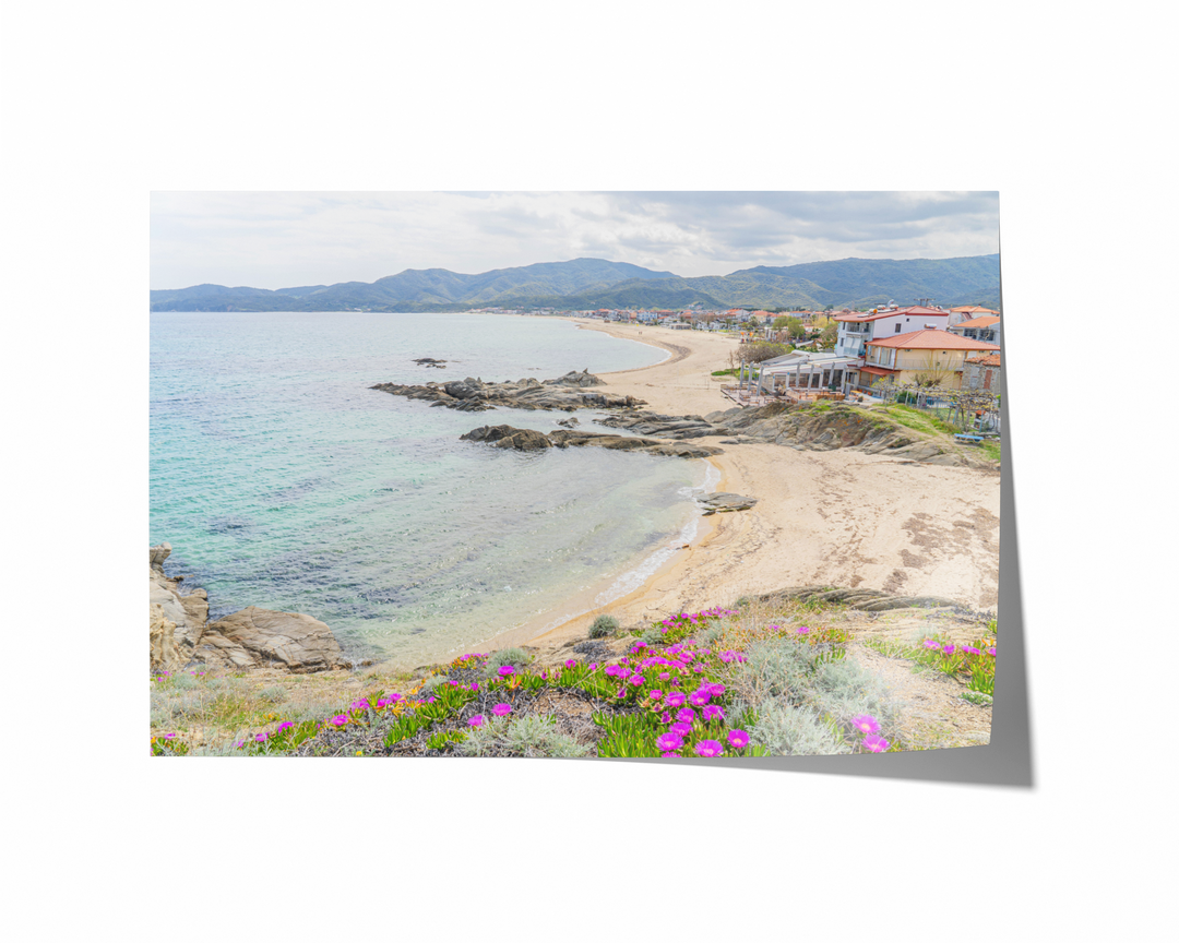 Wildflowers Above Sarti Halkidiki | Fine Art Photography Print