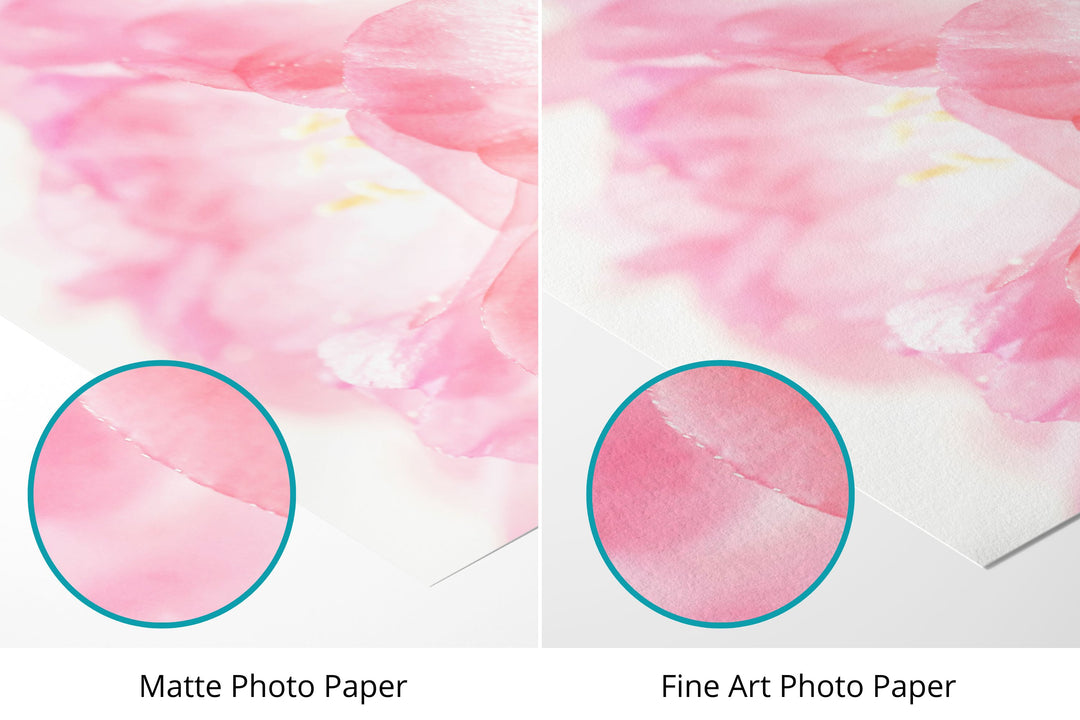 Pink Sea Thrift Flower | Fine Art Photography Print