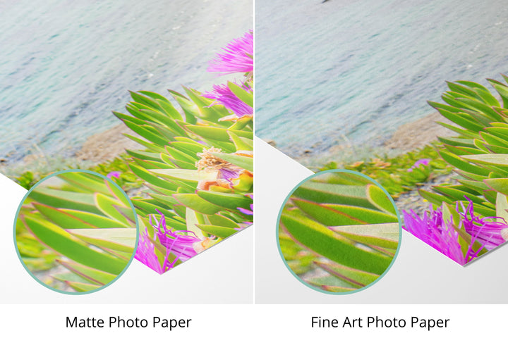 Photo paper types