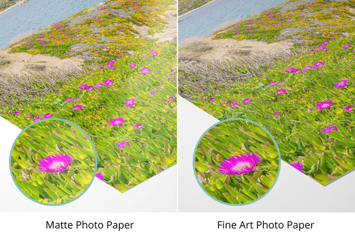 Photo paper types
