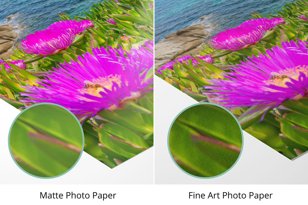 Photo paper types