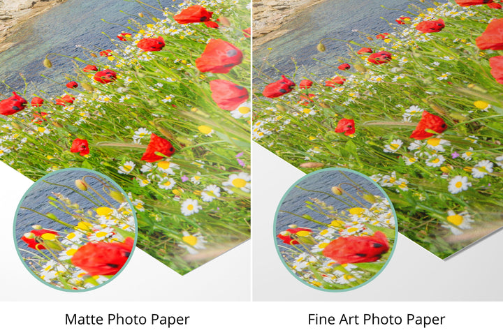 Photo paper types