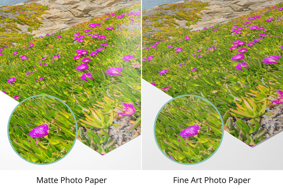 Photo paper types