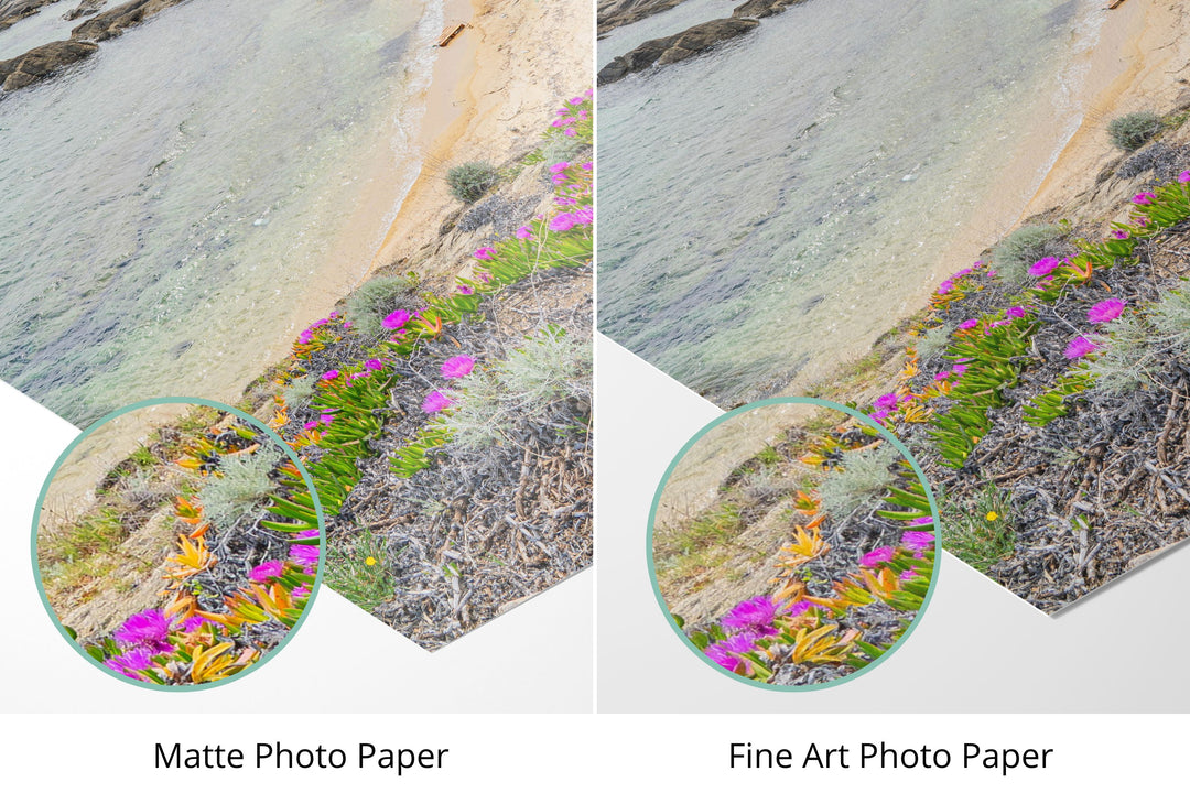 Photo paper types