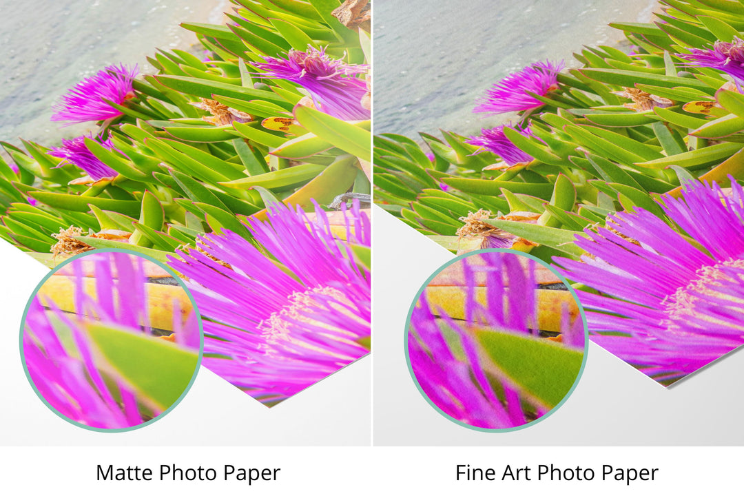 Photo paper types