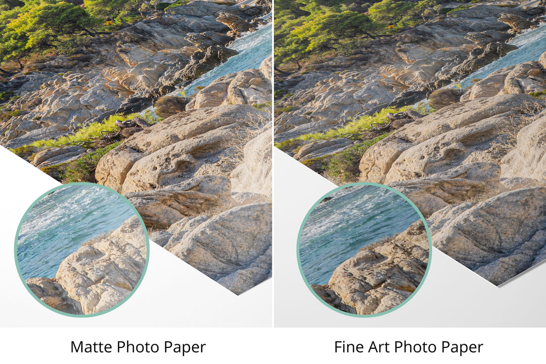 Photo paper types