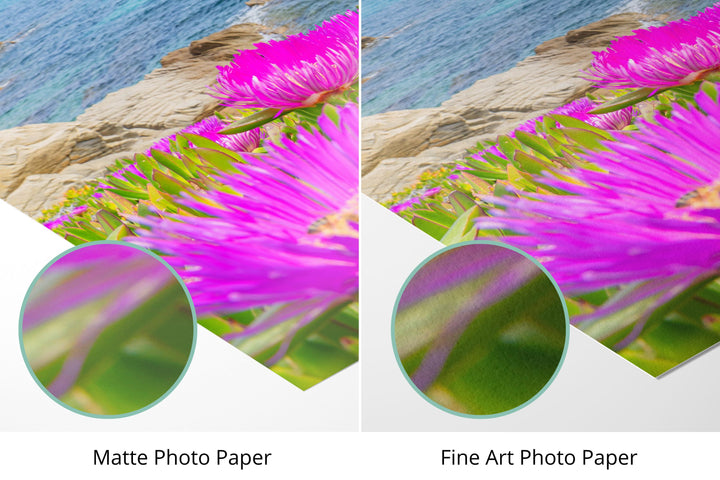 Photo paper types