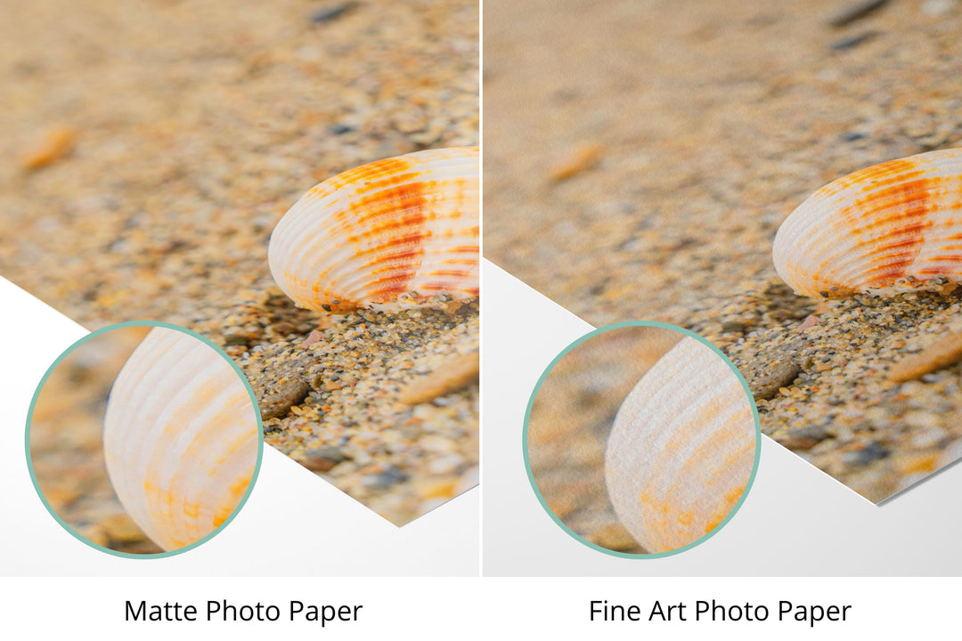 Photo paper types